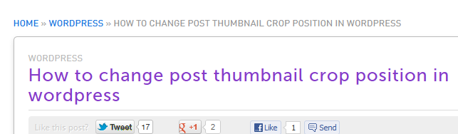 Crop-Position für Bildformate in WordPress ändern